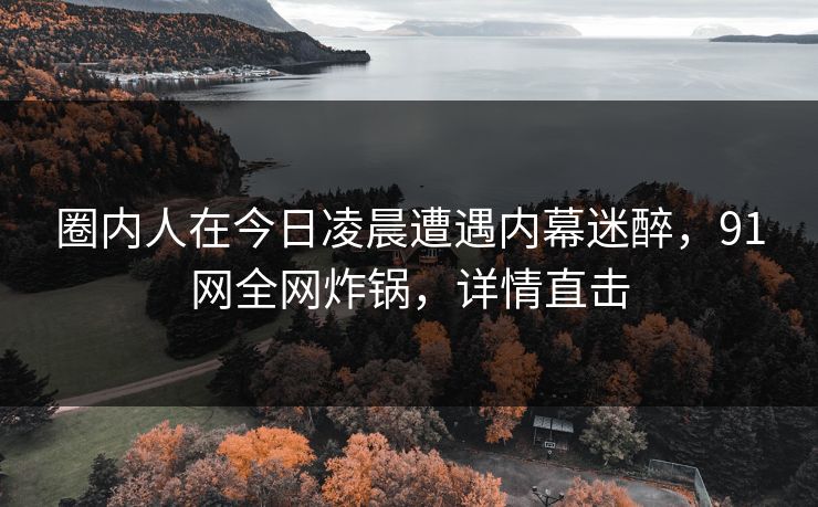 圈内人在今日凌晨遭遇内幕迷醉,91网全网炸锅,详情直击 圈内人在今日凌晨遭遇内幕迷醉,91网全网炸锅,详情直击