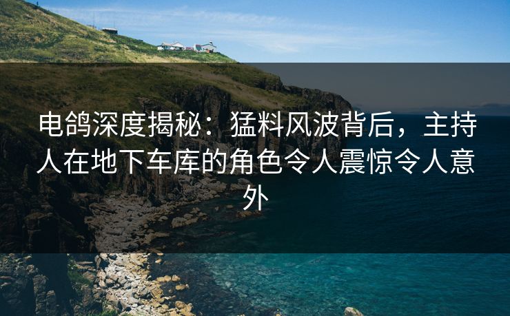 电鸽深度揭秘：猛料风波背后，主持人在地下车库的角色令人震惊令人意外