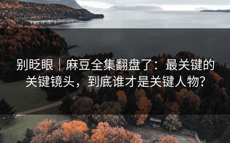 别眨眼｜麻豆全集翻盘了：最关键的关键镜头，到底谁才是关键人物？